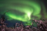 Amazing auroras over Swedish Lapland